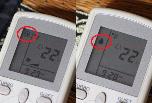 62c4652d600bdbf715e4.png