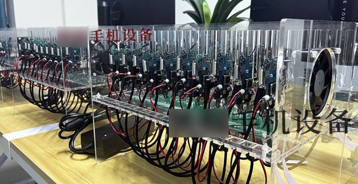 62cae353ec6c011ad109.jpg