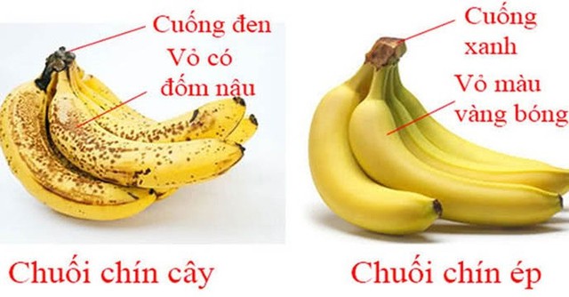 630b8d91467078b666f7.jpg