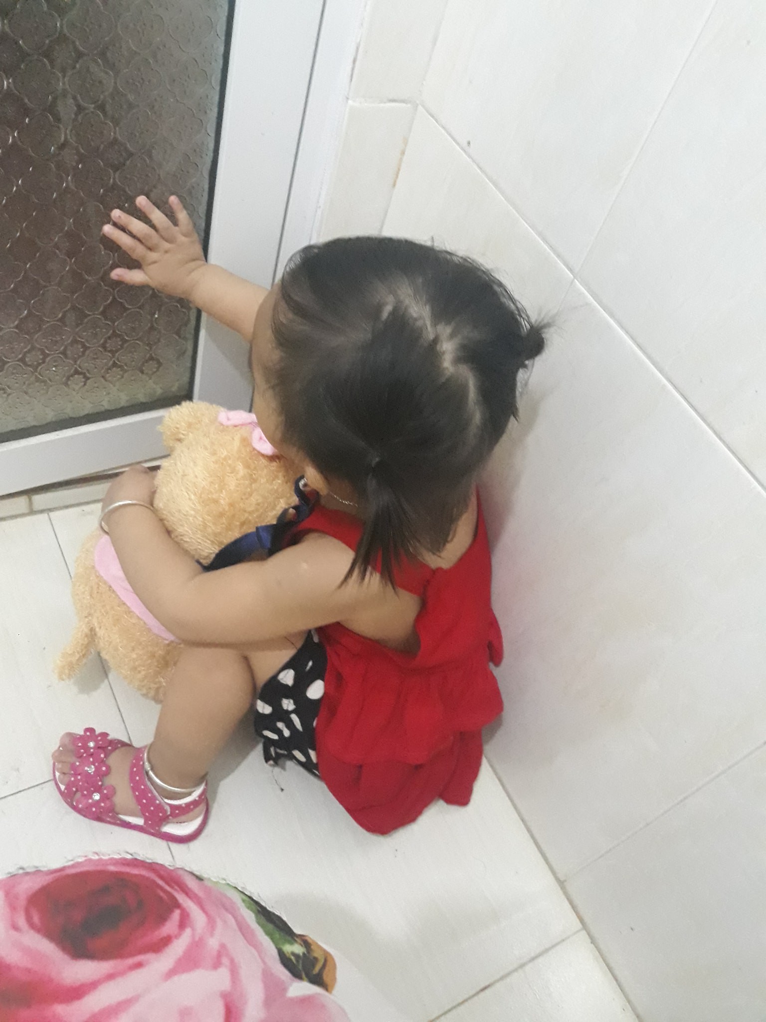 633997f276a6082a16f9.jpg
