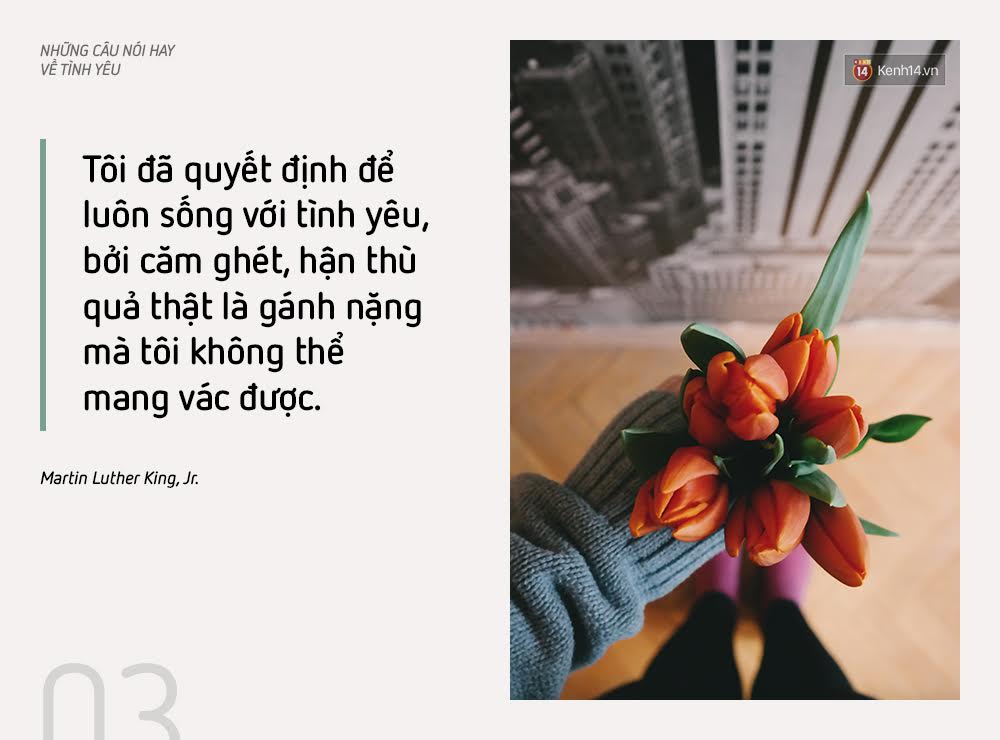 63551fc16955c14f6ffe.jpg