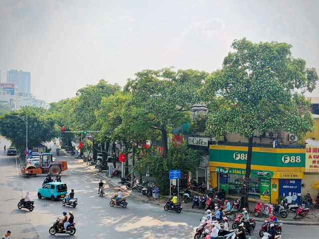 635f57be04dcd5e777e9.jpg