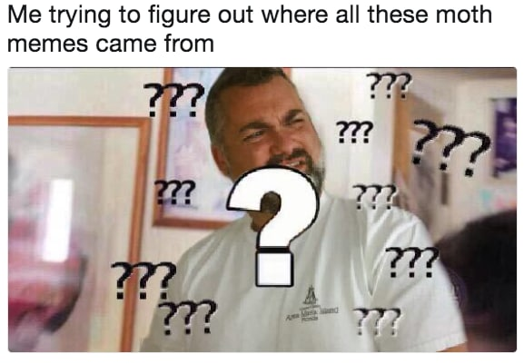 6362dd12e2044cb998e1.png