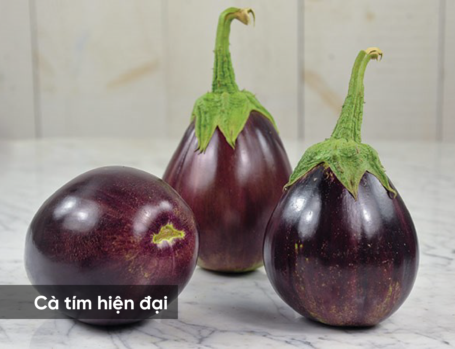 639817ca535e69e7b266.png