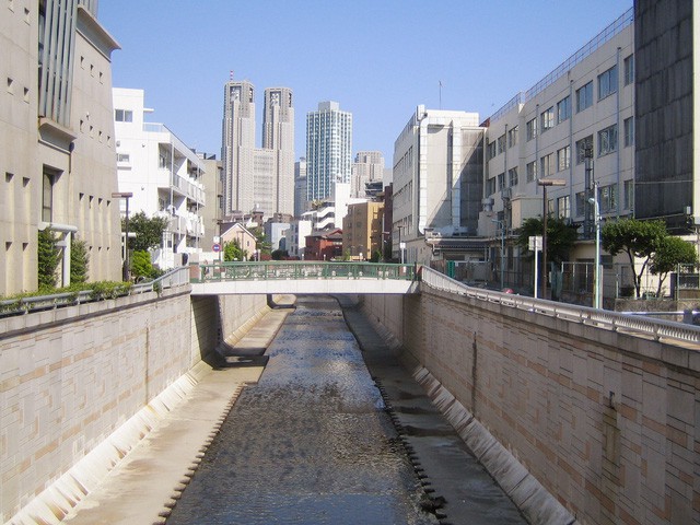 63d889489d6529f75fc9.jpg
