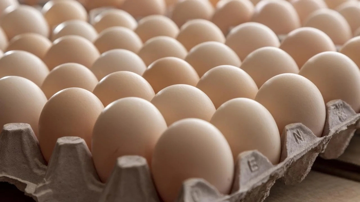 63e662aadcf7483aaf08.jpg