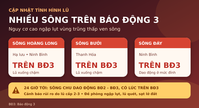 63f9d3ad9ea86f2315d2.png