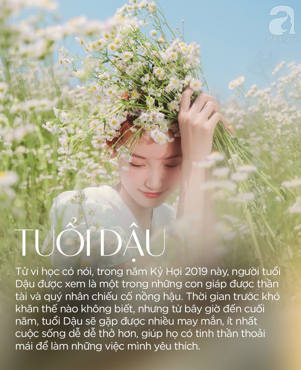 64814daaa901f8bdb9cb.jpg