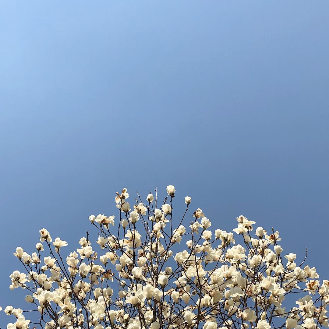648f533f70d995deb5aa.jpg