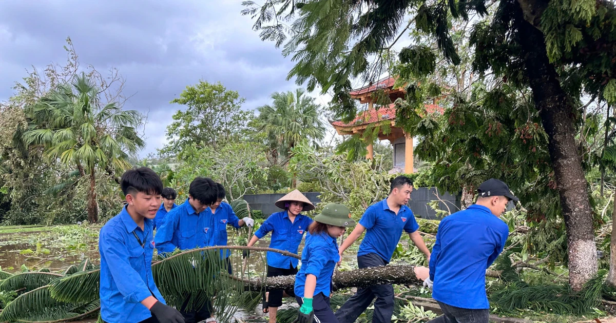 Gần 500 sinh viên Quảng Ninh xung phong dọn dẹp sau bão YAGI - tinh thần đáng nể quá đi!