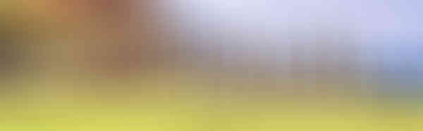 6511691d029cffd5fff4.jpg