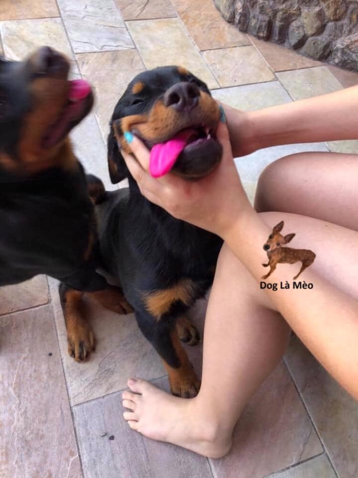65443355c5b8c568012c.png