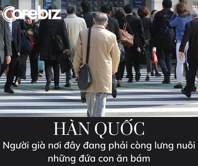 654a38974726095cd59e.png