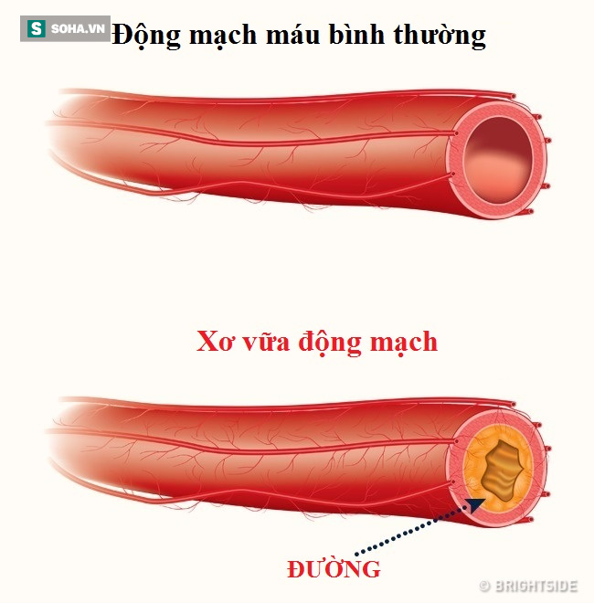 655992c631b238e5d178.jpg