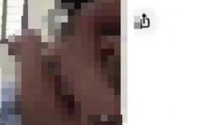 65b8fca190b246bc66dd.png