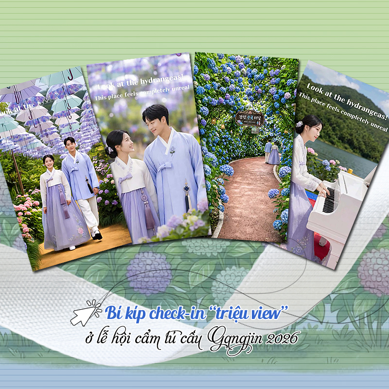 Bí kíp sống ảo "triệu view" tại lễ hội hoa cẩm tú cầu Gangjin 2026 ✨