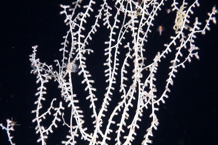 65f22d5946f9781d0c68.jpg