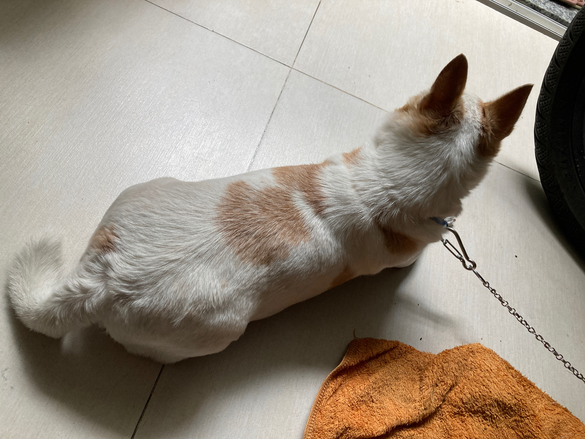 Không biết méo hay chò nữa? Khi cuộc sống làm bạn mất phương hướng ‍