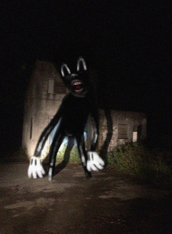 663b55ee0d81ed725b8f.png