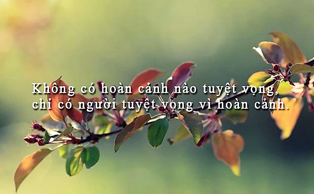 6645e54d1c6071f0cbcb.jpg