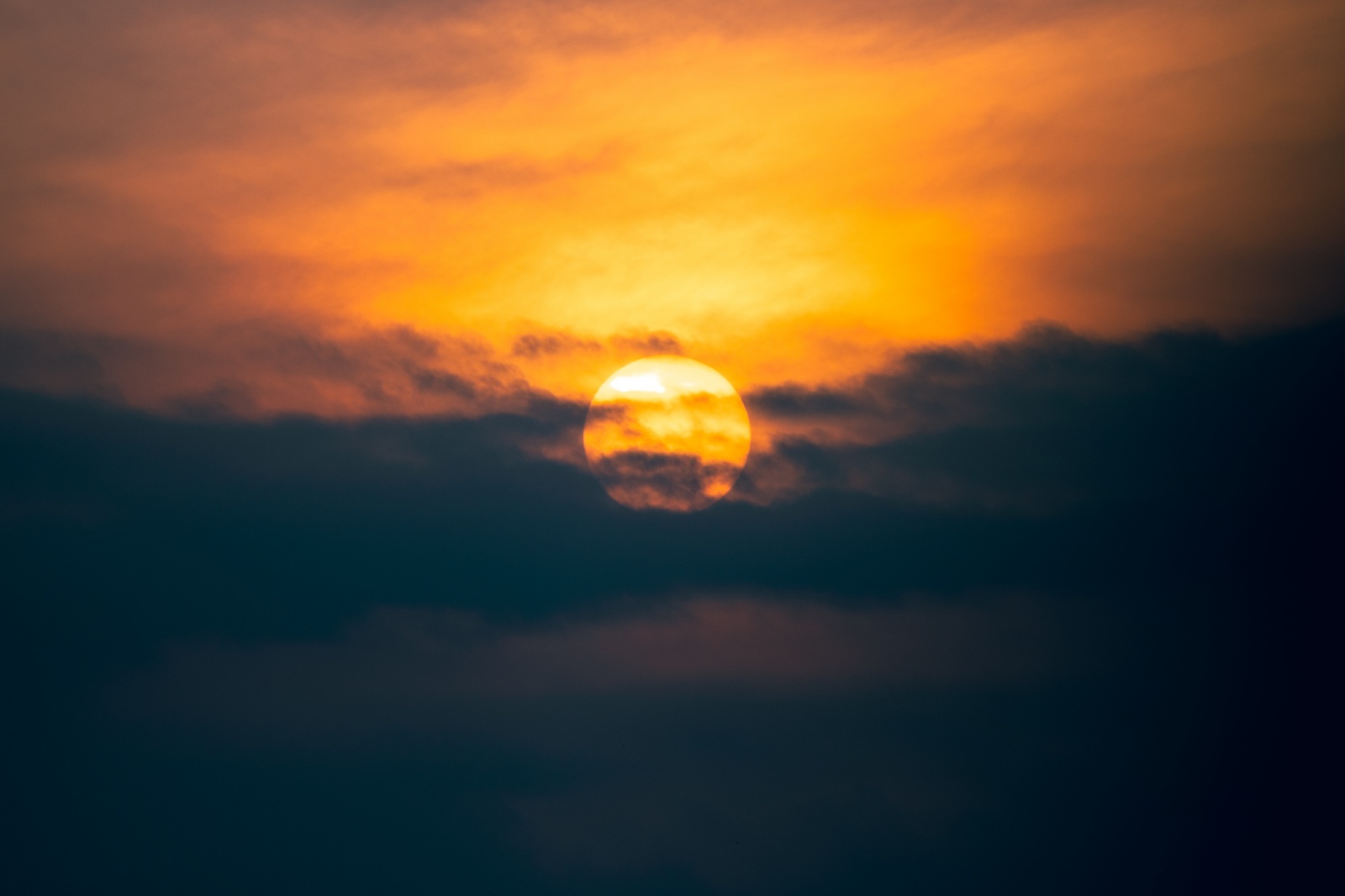 66463f287e896222a308.jpg