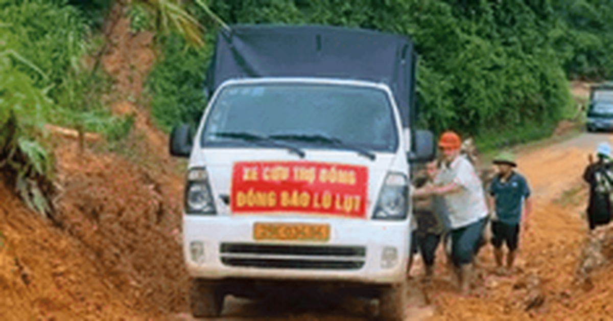 6650a3a72016daf61619.png