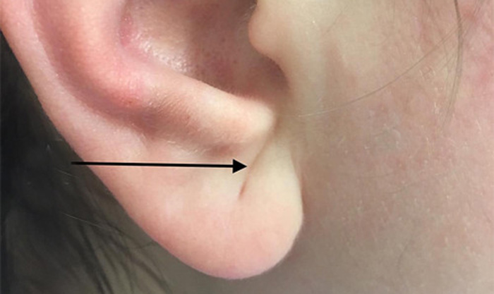 66831ed4390ea4778550.jpg