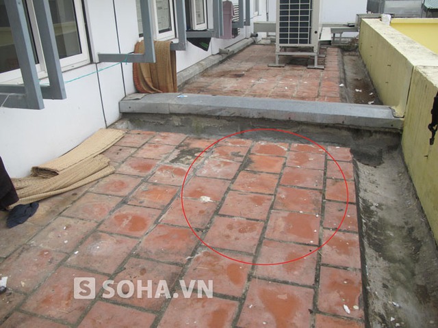 6699b77a349417aa2009.jpg