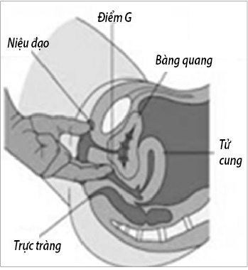 66c383167ab762dd13ae.jpg