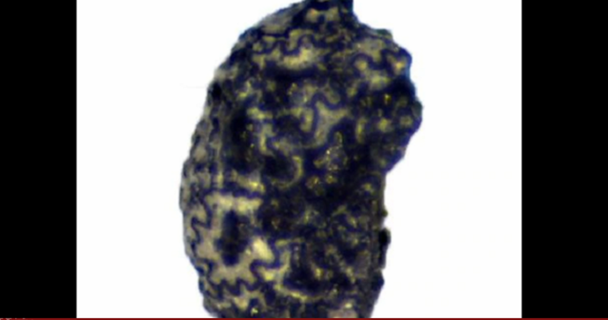 66fca5cf8e49b036d4d8.png