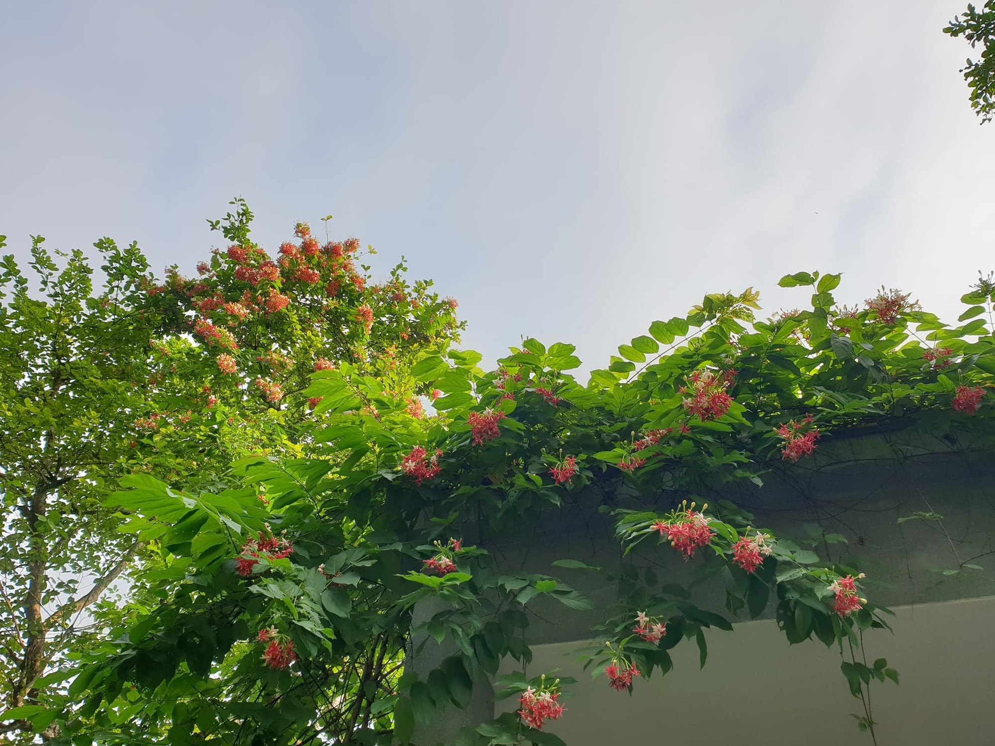 670c15f4a83cca2da77e.jpg