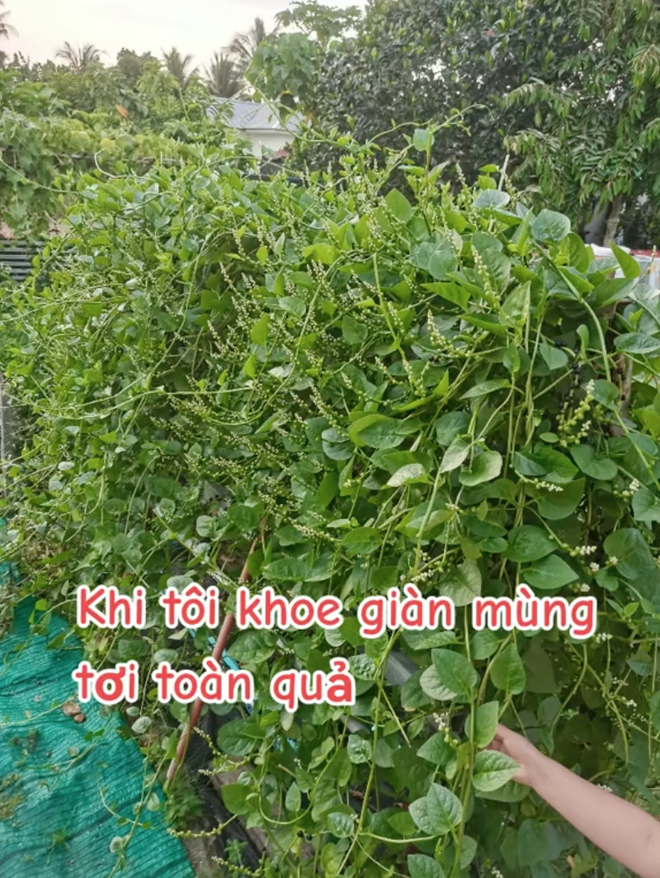 6723479a30c13acb33a3.png