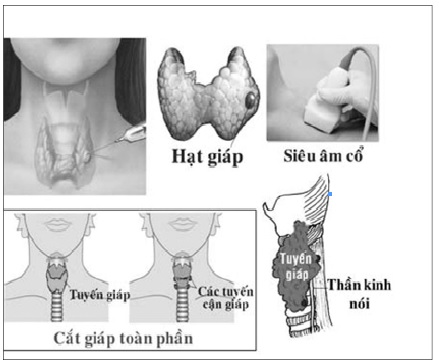 67aa3b15ddc7e657e974.jpg