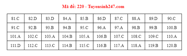 67fd825f16c8cafa0ae5.png