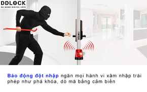 68d8850121ac7bbec290.png