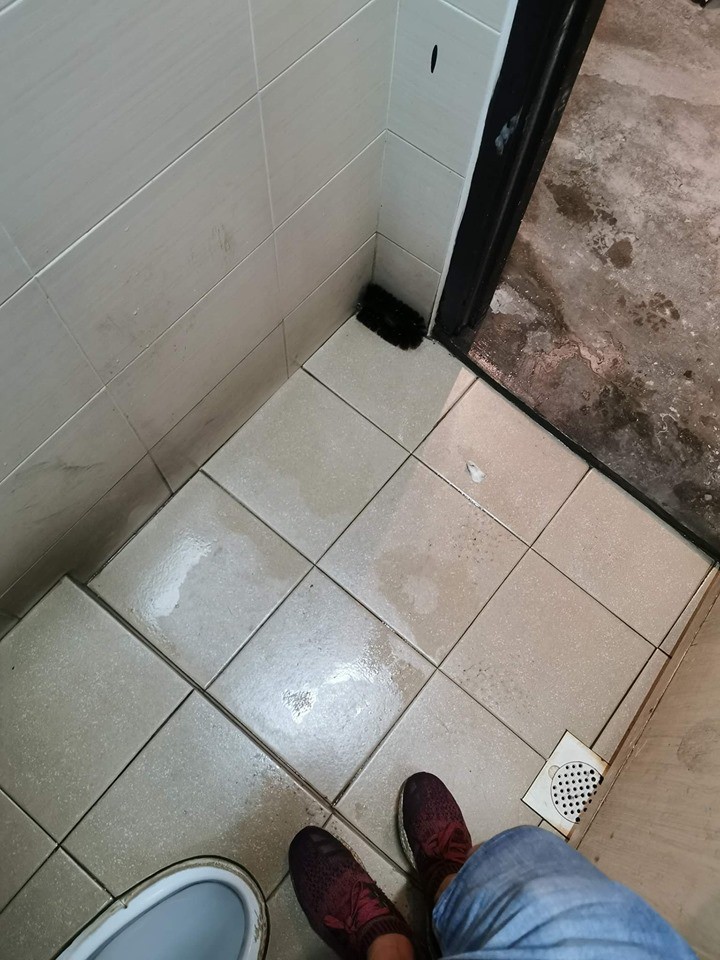 69088f8916e166c66f2f.jpg