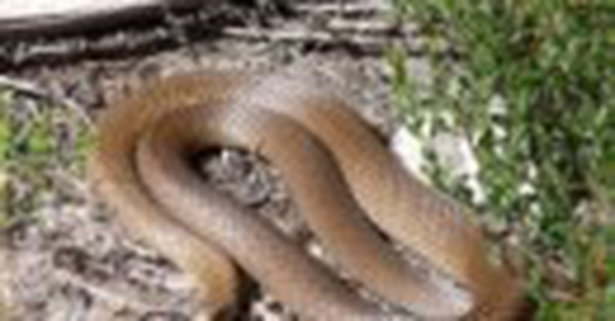 69cc6b24da365a956243.jpg