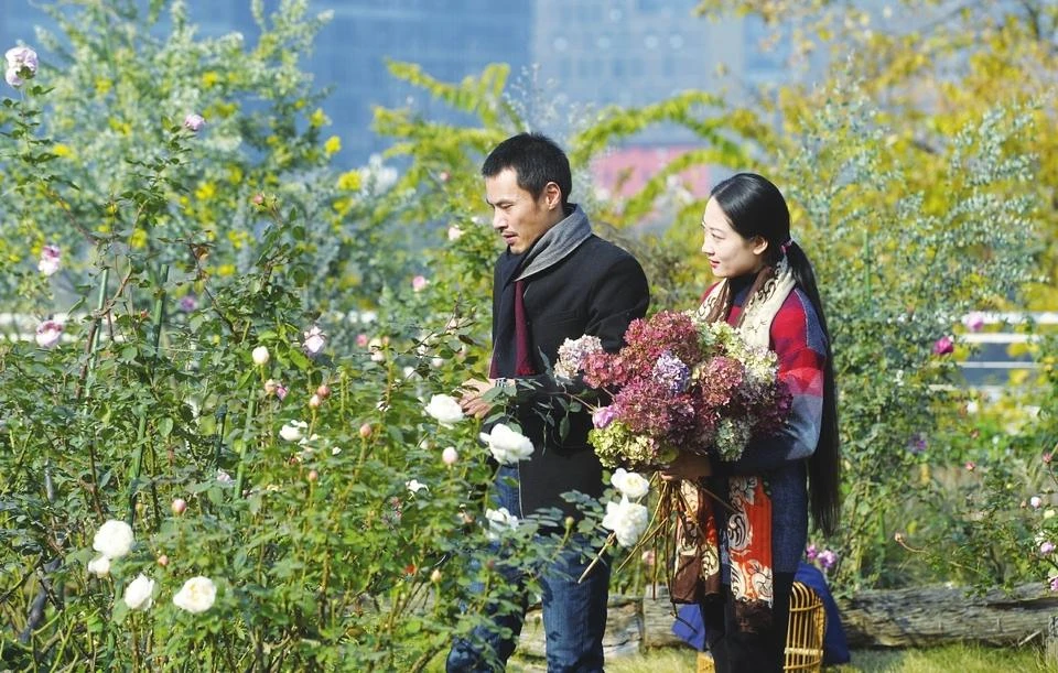 Cặp đôi biến tầng thượng thành "thiên đường hồng" với 200 loại hoa trồng không cần đất khiến ai cũng phải ghen tị