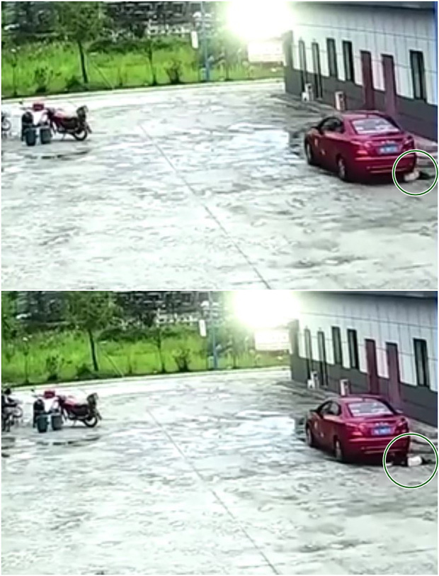 6a918598277735fb4753.jpg