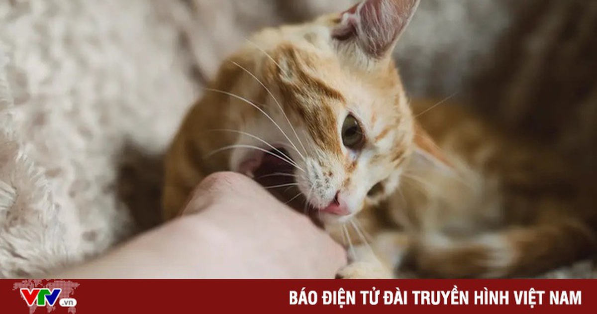 6aad64945f267bbcb5da.jpg