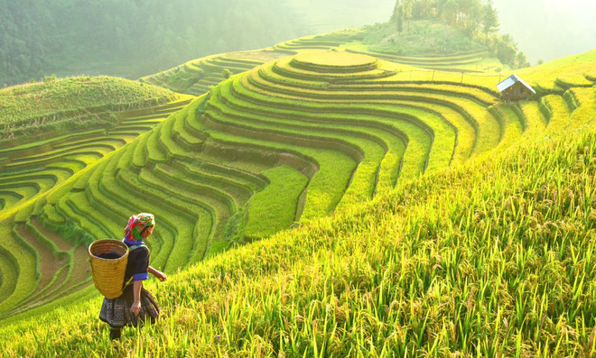 6aae9441270df95506ca.jpg