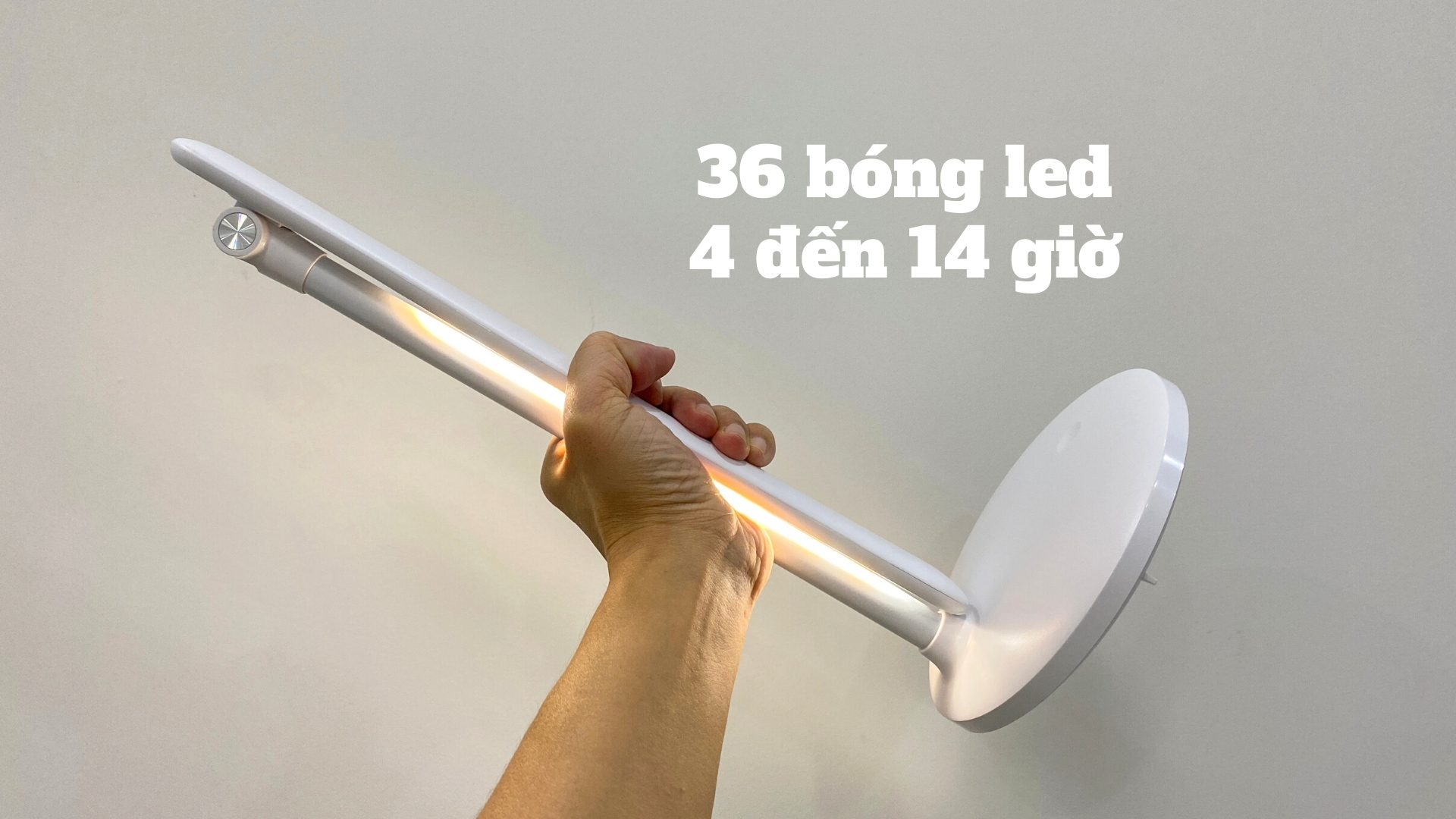 6b085b22d1e6ef4b1f85.jpg