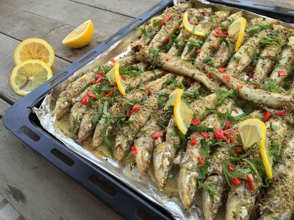 6b13a7a24c5968ccb35c.jpg