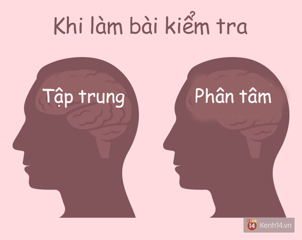 6b986da064c73b7846a3.jpg