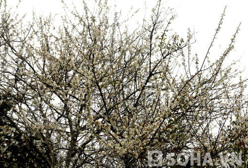6bbb07a7d16a89c70a2a.jpg