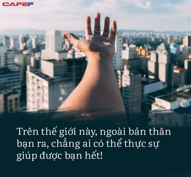 6bf51e913a6338c808d6.png