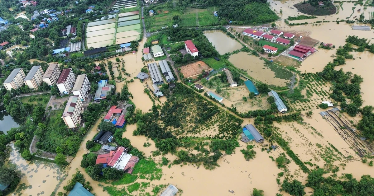 Các trường đại học TP.HCM chung tay hỗ trợ sinh viên miền Bắc sau bão số 3: Miễn giảm học phí đến 1 tỷ đồng