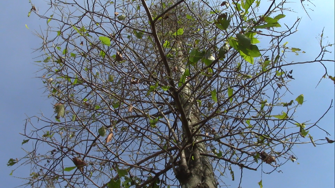 6c09951ea987f3ec3fa8.png