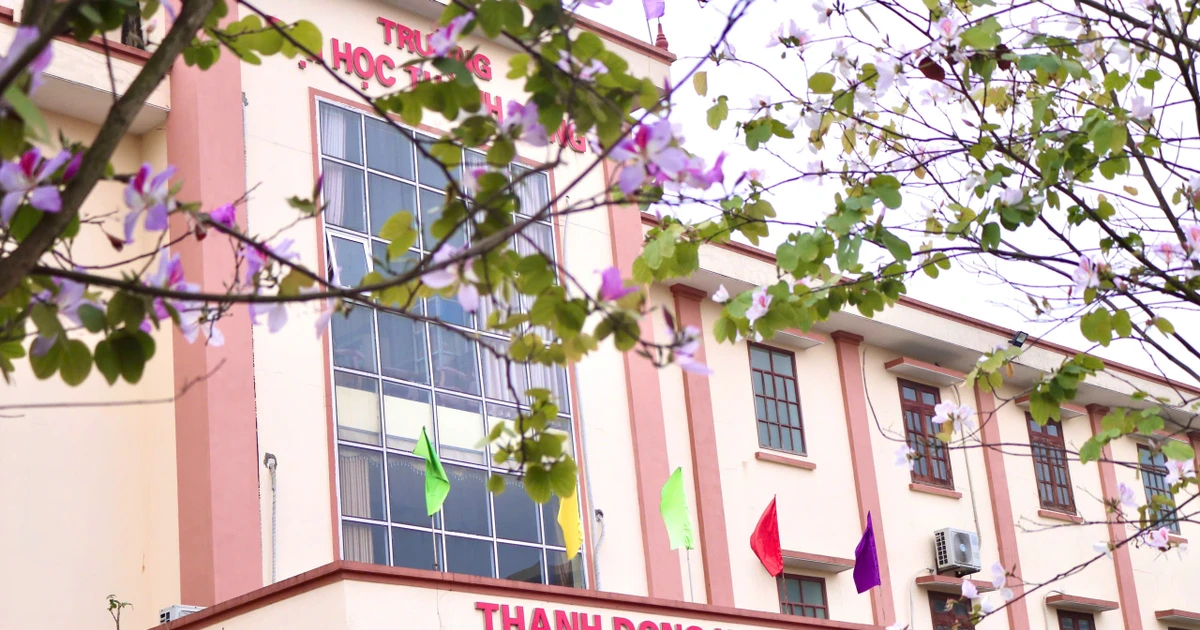 Mùa hoa ban trên giảng đường: Sắc hoa của ước mơ và trưởng thành