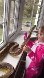 6c7b3c2a45bed97b6055.gif